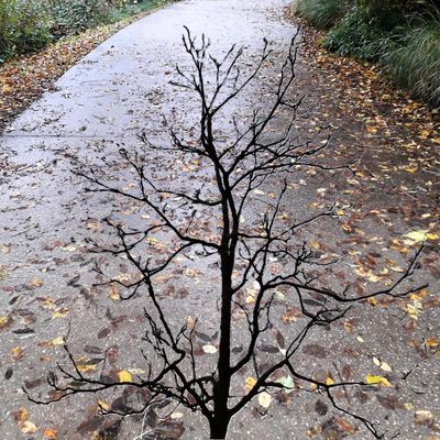 Un rafraîchissement 