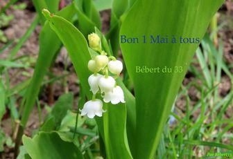 bon 1 er Mai