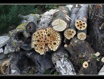 Faire son propre abri pour insectes...