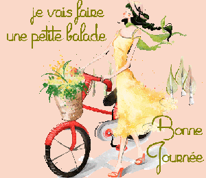 Petites fleurs des chemins au printemps