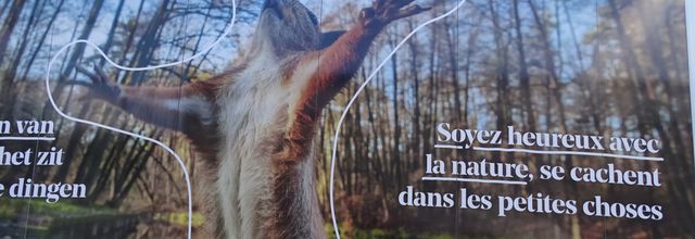 Dimanche soleil et douceur