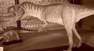 Dino bis