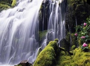 Find numbers - Landscapes