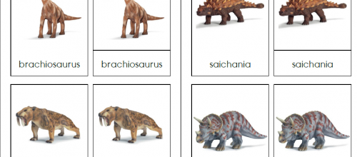 Les dinosaures 