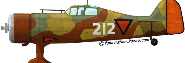 Fokker D XXI
