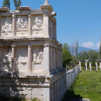 APHRODISIAS