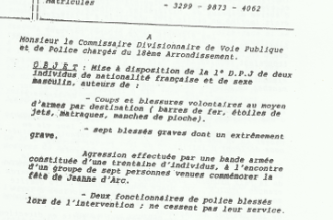  Meyer Habib, le député qui veut interdire la Quenelle est un ancien gros bras des milices sionistes