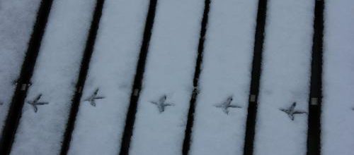 traces