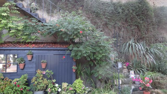 Un Petit Coup de Ciseaux pour un Grand Coup d’Eclat !