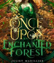Free english ebooks download Once Upon an Enchanted Forest