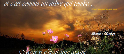 Adieu à Alex