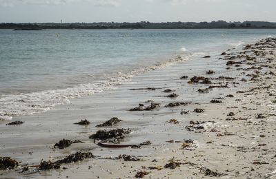 29 ... (et plus) : Brignogan, c'est pas du gnan-gnan ! (2/3)