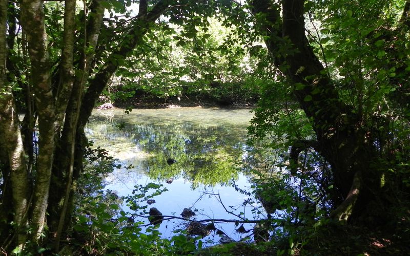 Reflets dans le Jura
