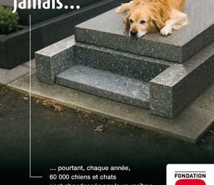 Les animaux sont meilleurs que nous
