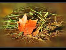 Voyage...