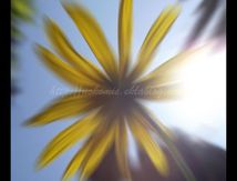 Jouer avec le soleil