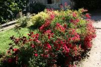 NERAC, LE PARC DE LA GARENNE (Lot et Garonne - 47)
