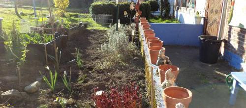 Au jardin tout l'après-midi