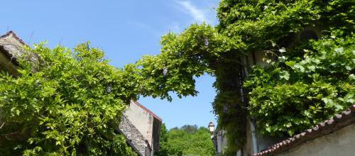 Noyers sur Serein suite