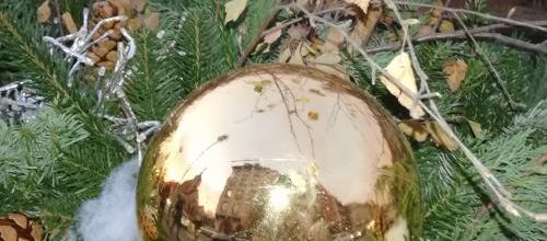 reflets chez Annie