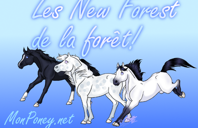 Les new forest sont là!