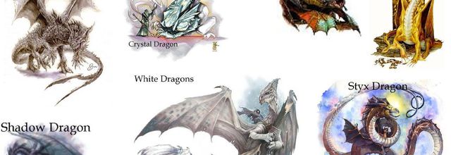 RÉFÉRENCER LES DRAGONS