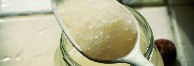 Recette du kéfir de fruit