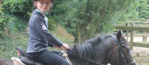 chevaux