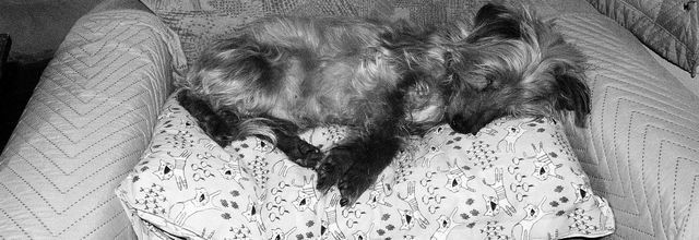 Cosy!