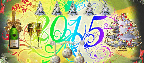 BONNE ANNEE  2015