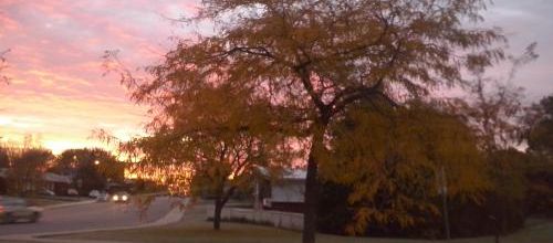Autumn morning in Gatineau