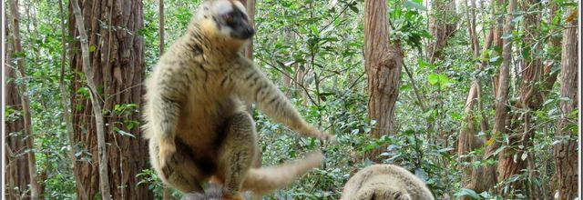 DES PHOTOS   SOUVENIRS DE MADAGASCAR  