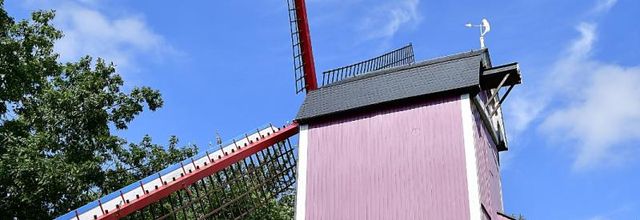 Bruges : Moulin " Le Perroquet (Moulin du Haut Signal) " 