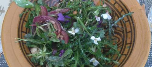 Dimanche 18 mars 2018 : Yoga et salades sauvages 