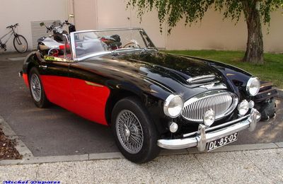 Des "belles de collection"...