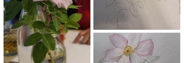 Une nouvelle passion ?