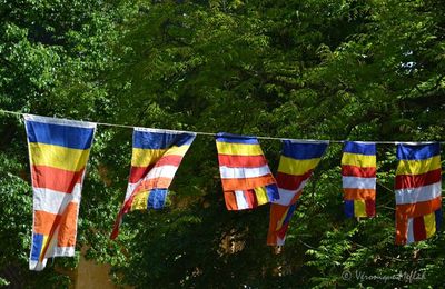 Pagode du Bois de Vincennes Paris 12ème : Fête de Vesak