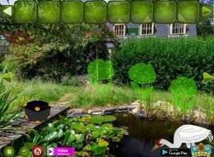 Crane pound escape soluce