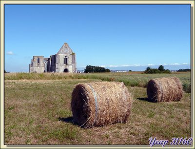 Abbaye des Châteliers - Ile de Ré - 17