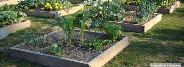 Potager Bio