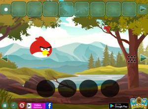 Escape from enraged birds land soluce