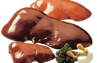 LE FOIE UNE SOURCE DE FER