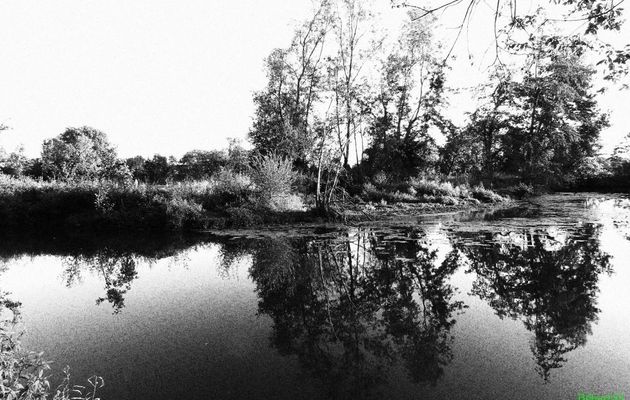 défi reflets d'Annie 10