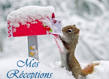 In My Mailbox (Mes dernières réceptions) #38