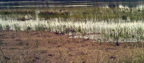 La Loire reprend son lit - La Loire goes back to its bed