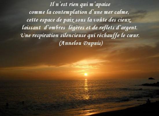Citations en images : Contemplation
