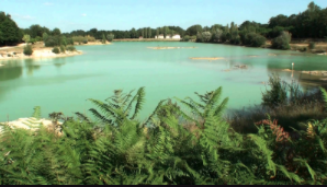 CR Marche 10 du Lundi 03 Février 2020 à Léognan Lac Bleu