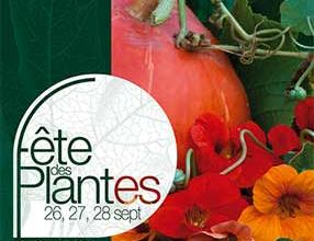 C'est la fête à St Jean de Beauregard