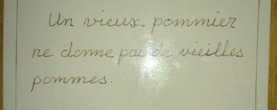 Un vieux pommiers ne donne pas de vieilles pommes