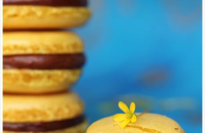 Concours de photos gourmandes